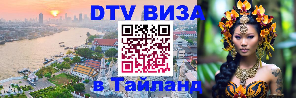 Оформление DTV визы под ключ: стоимость и тарифы, только загранпаспорт - Кишинёв  19.11.2025 